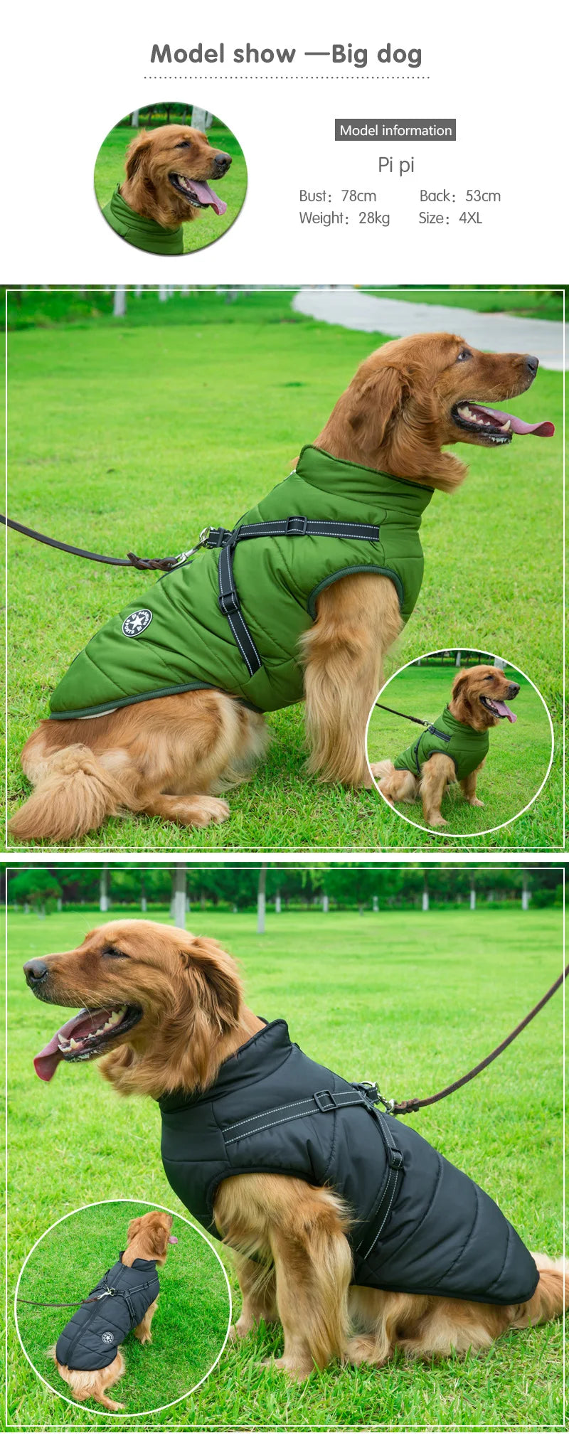 FrostPaw™ Winter Shield Dog Jacket