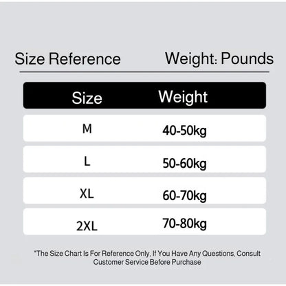 High Waisted Tummy Control Panties for Women Ice Silk Seamless Breathable Underwear Thin Comfortable No Show Briefs Shorts