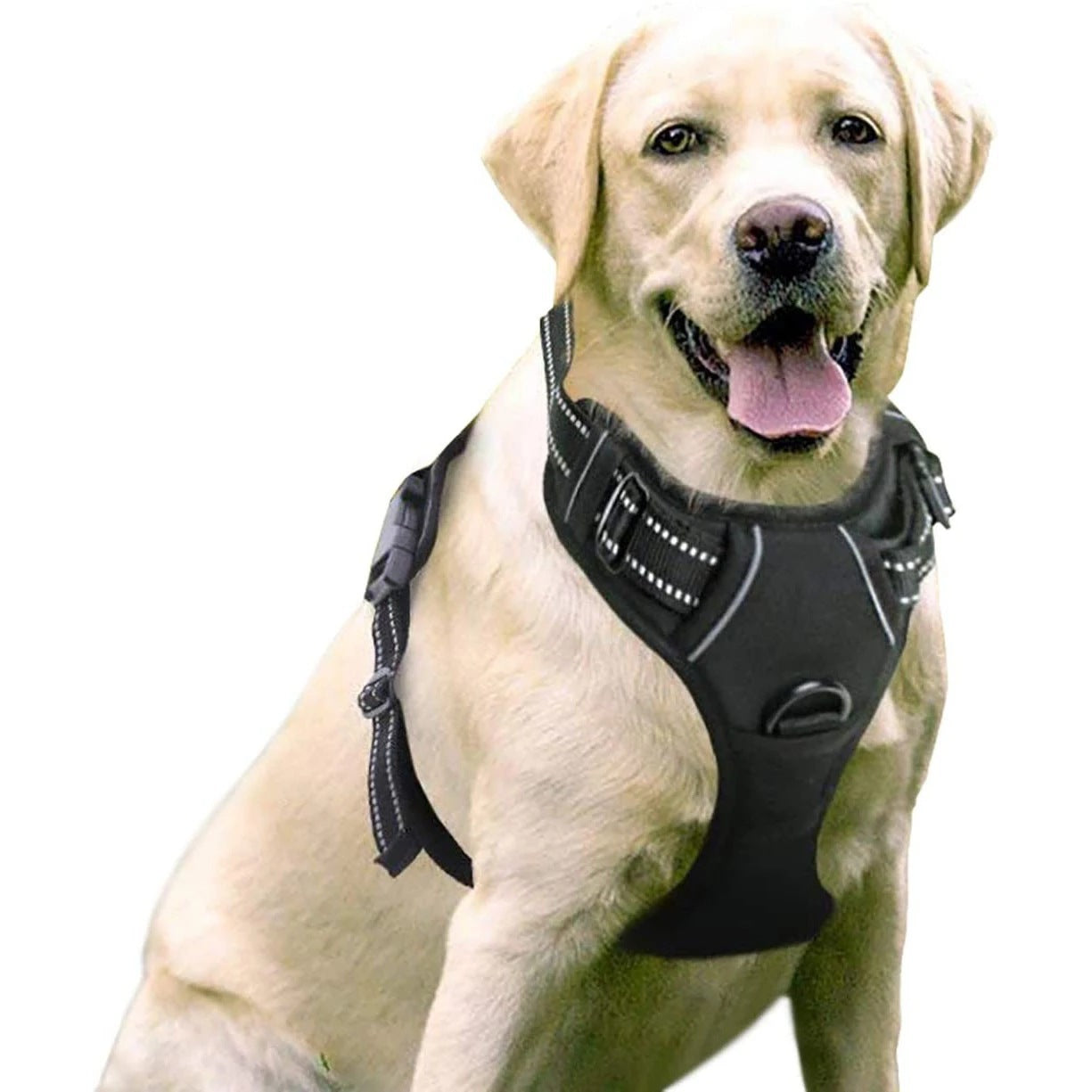 🐶 Nylon Dog Harness with Comfort Chest Support & Control Handle 🐾✨