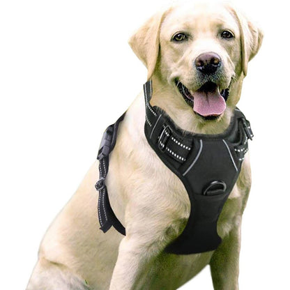 🐶 Nylon Dog Harness with Comfort Chest Support & Control Handle 🐾✨