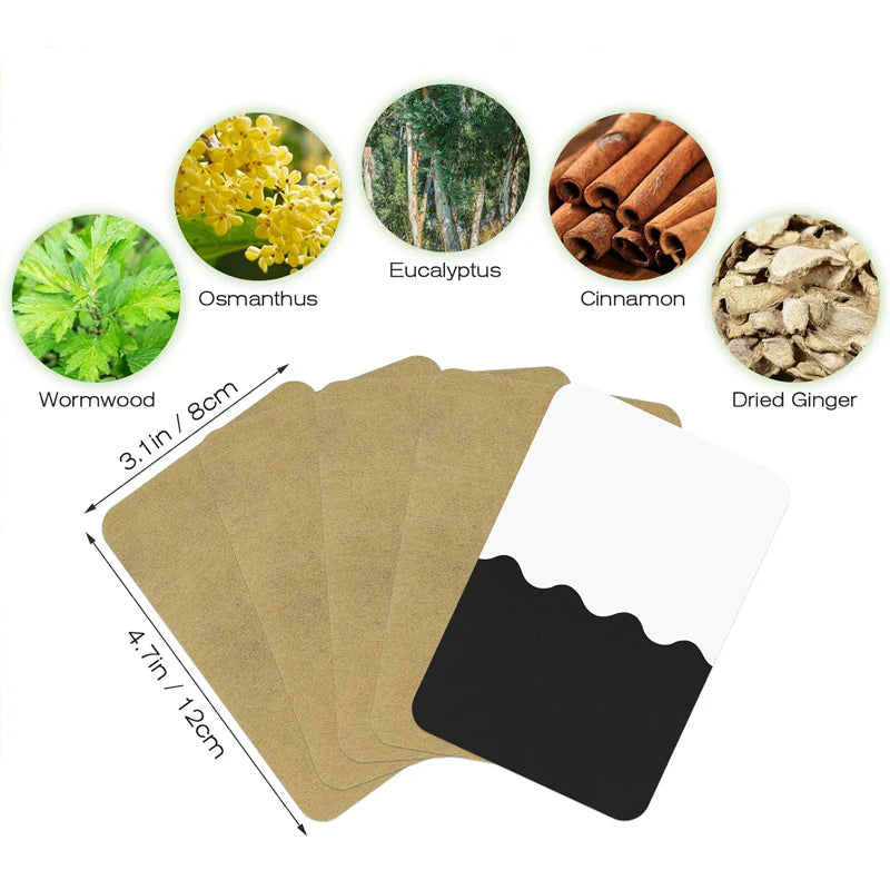 ThermaEase™ Ginger Pain Patches